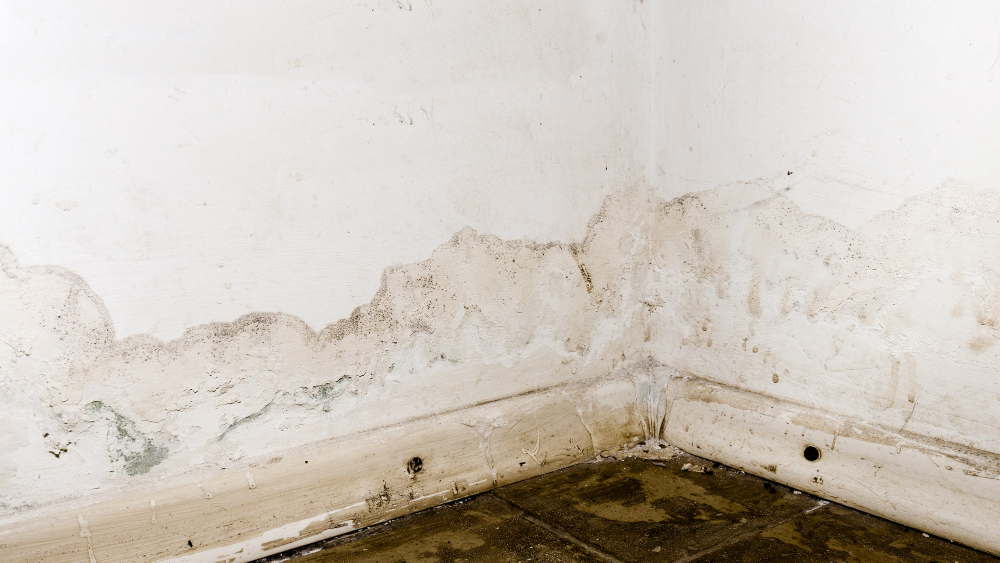 Flooding Rainwater Floor Heating Systems Causing Damage Peeling Paint Mildew Image