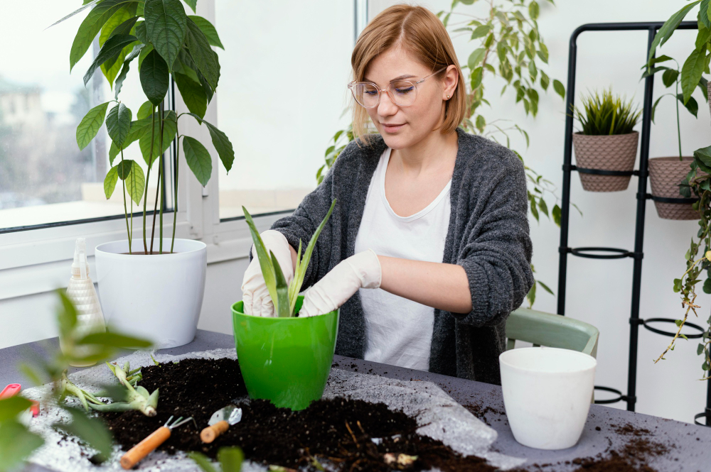 Medium Shot Woman Gardening Indoors