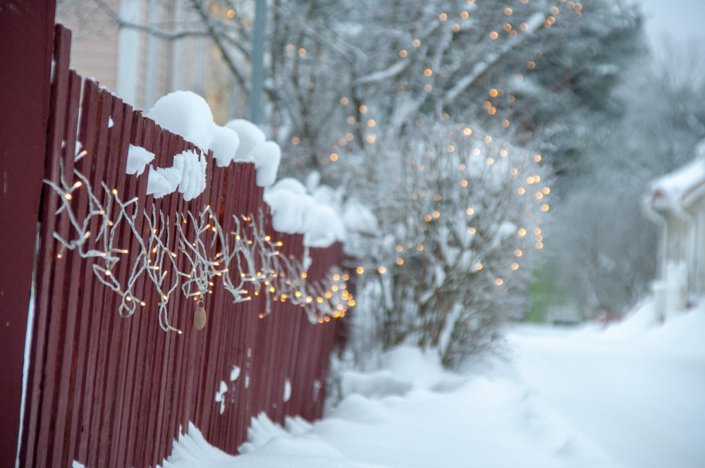 Close Up Frozen Treechristmas Lights During Winter