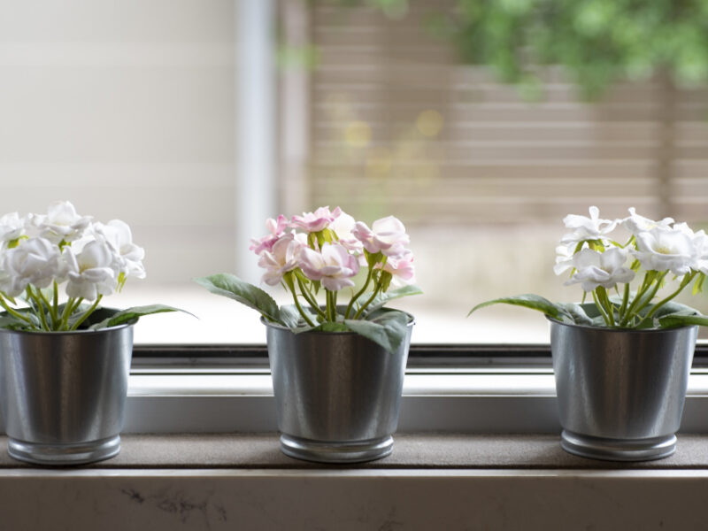 Window Sill With Three Flowerpots Blurred Background