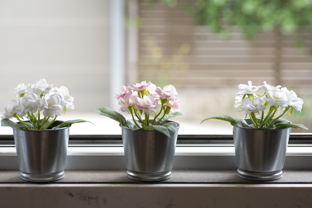 Window Sill With Three Flowerpots Blurred Background