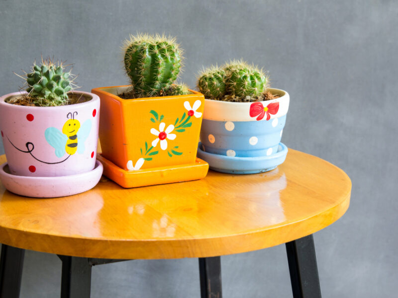 Cactus Plant Pots Decoration Table