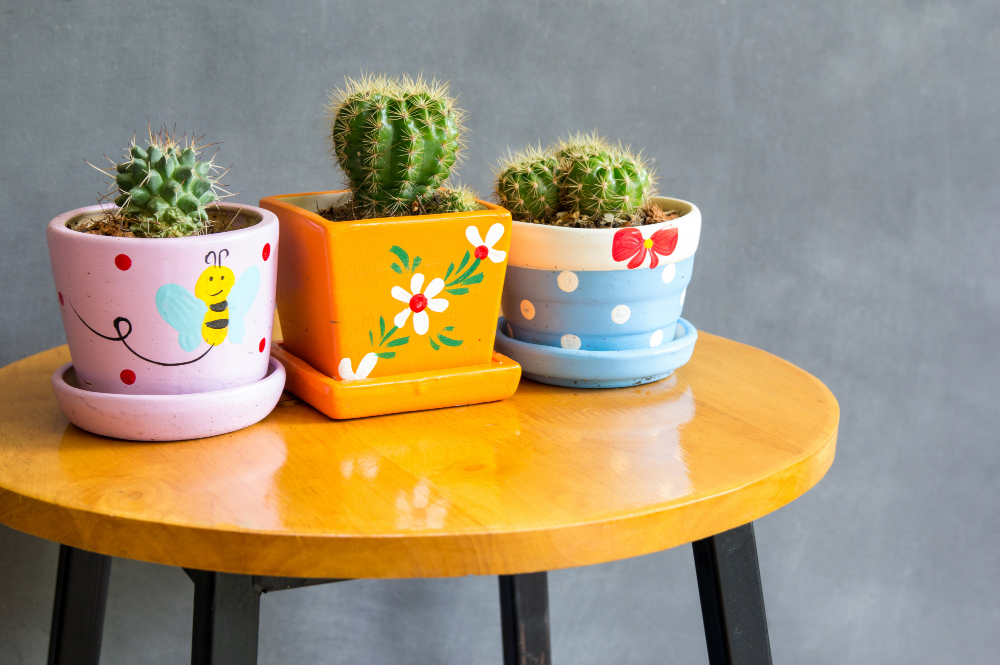 Cactus Plant Pots Decoration Table