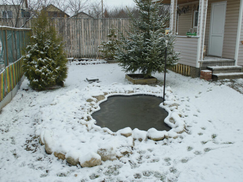 Small Pond Snowy Morning Ryazan Region Russia