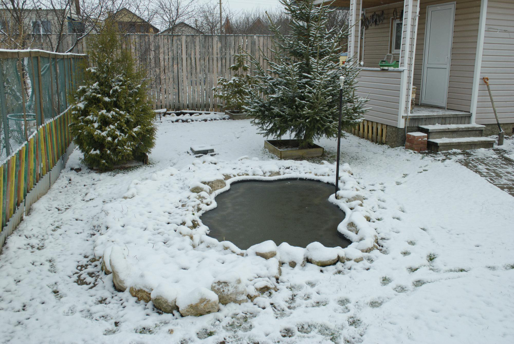 Small Pond Snowy Morning Ryazan Region Russia