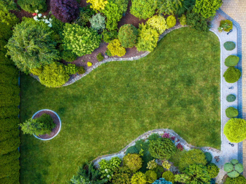 Beautiful Residential Mature Garden Aerial View
