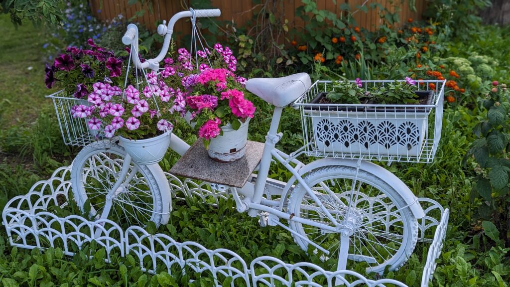 Decorative Bicycle With Flowers