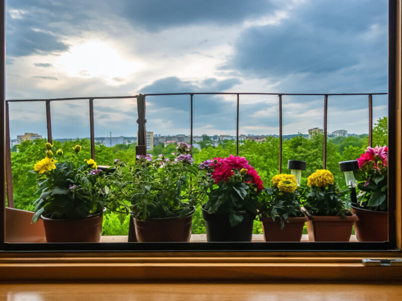 Flower Pots Outside Window Balcony With Cloudy Sky Background