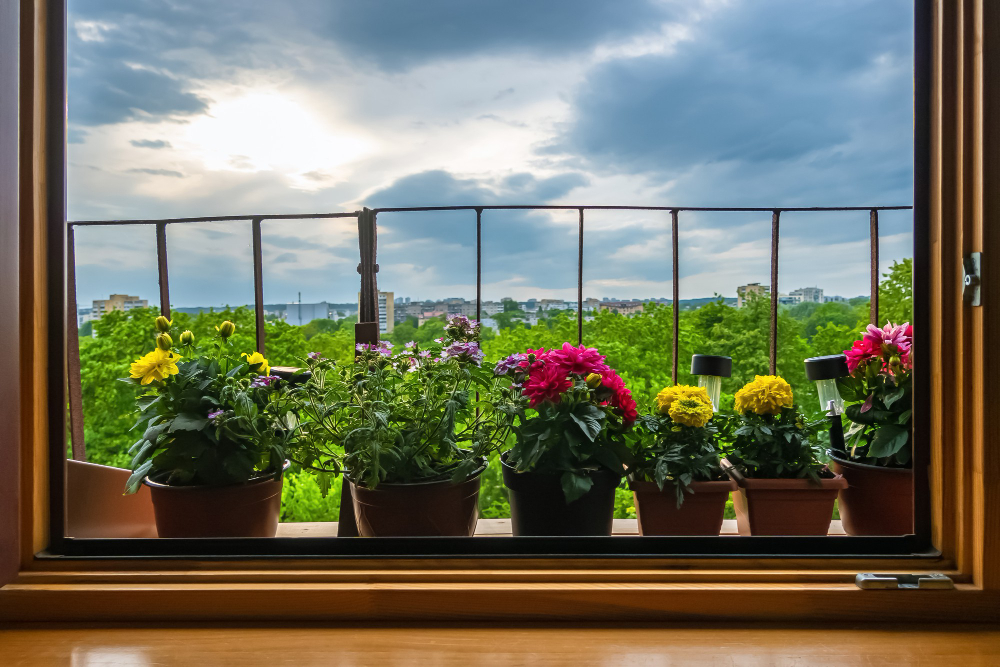 Flower Pots Outside Window Balcony With Cloudy Sky Background
