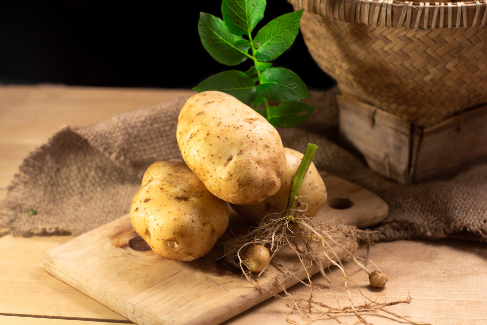 Fresh Potatoes With Leaf Wooden Black Background