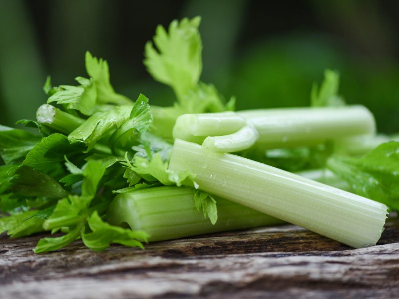 Fresh Celery Vegetable Bunch Celery Stalk With Leaves Wood Nature Green
