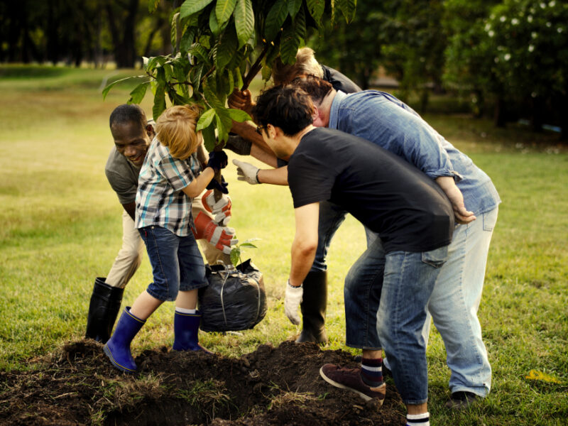 Group People Planting New Tree