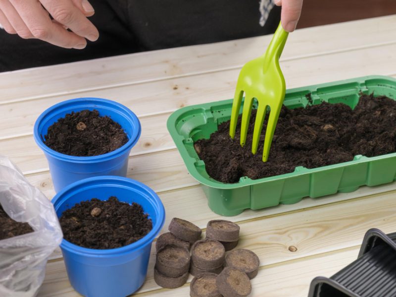 Woman Makes Holes Soil With Garden Tool Sowing Seeds Seedling Container Preparation Planting Seedlings Home Gardening Growing Vegetables Herbs Food