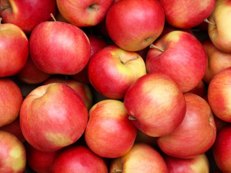 Close Up Apple Red Apple Fruit