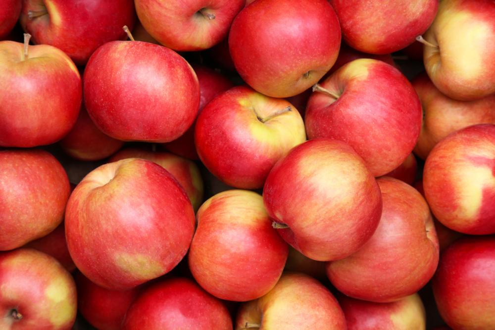 Close Up Apple Red Apple Fruit