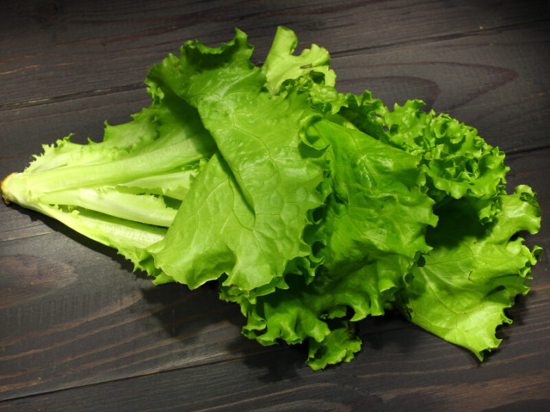 lettuce-dark-background