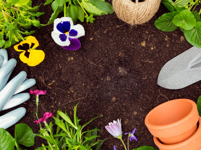 Top View Gardening Tools Plants Soil With Copy Space