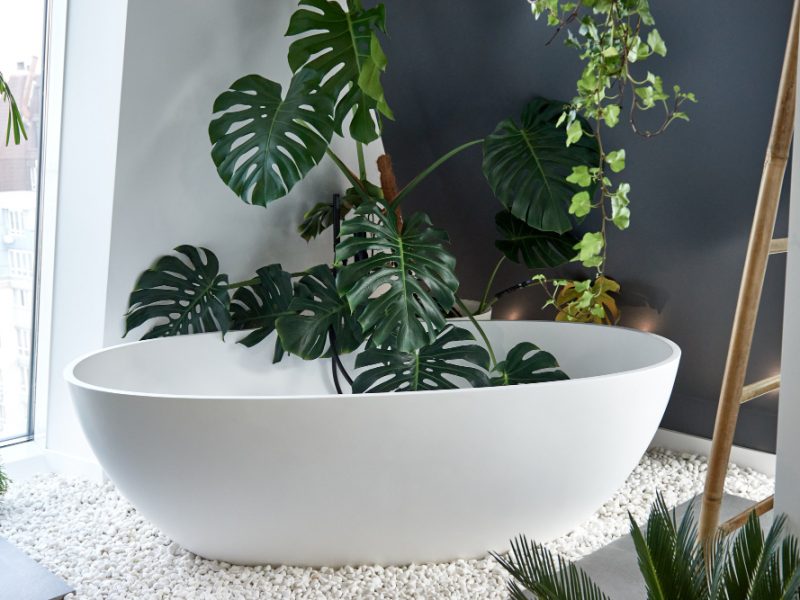 Minimalist Interior Design Stylish Home Plants Bathroom Monstera Palm Leaves