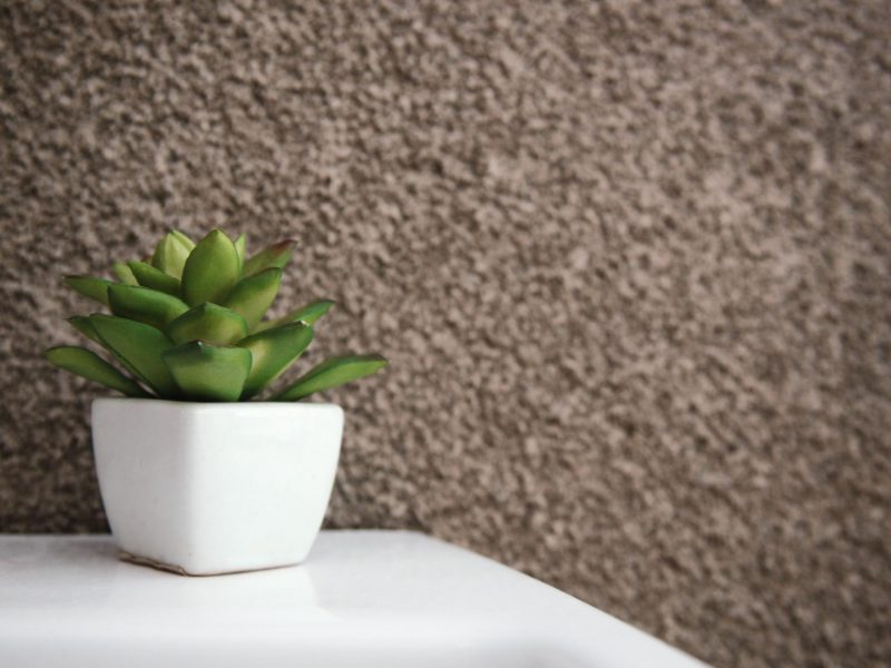 succulent-pot-white-shiny-ceramic-with-cement-background