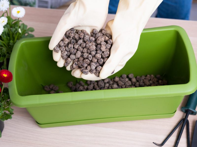 Female Hands Pour Expanded Clay Into Flower Pot Drainage