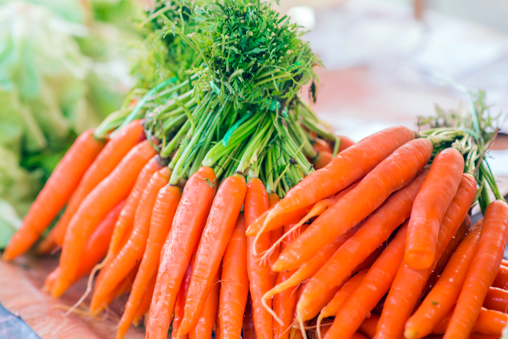 Carrots Fresh Organic Carrots Fresh Garden Carrots Bunch Fresh Organic Carrots Market