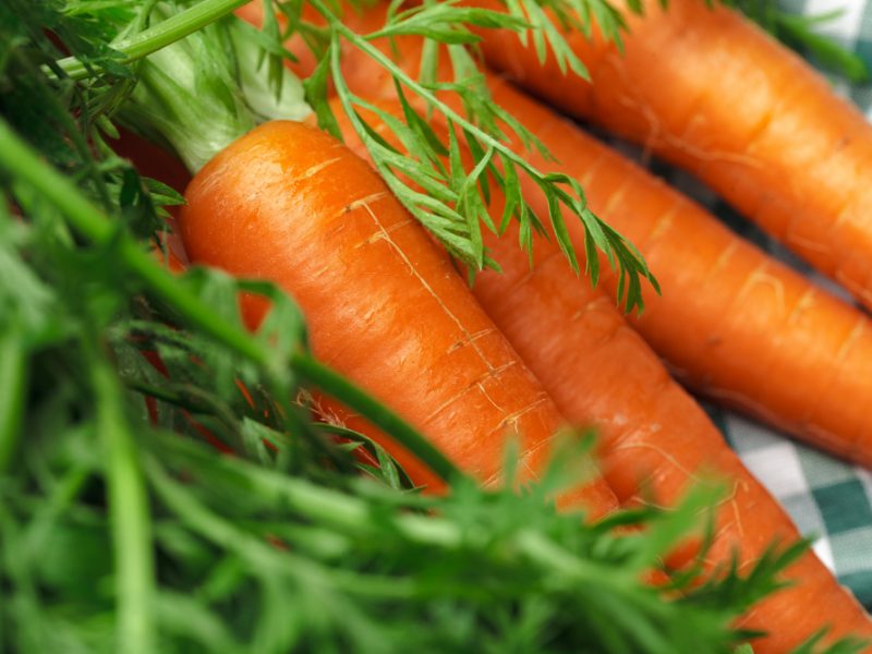 fresh-carrots-checkered-tablecloth