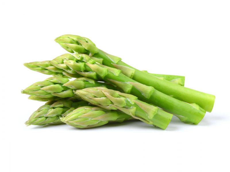 Asparagus Isolated White Background
