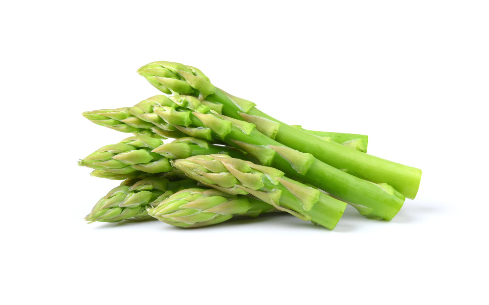 Asparagus Isolated White Background