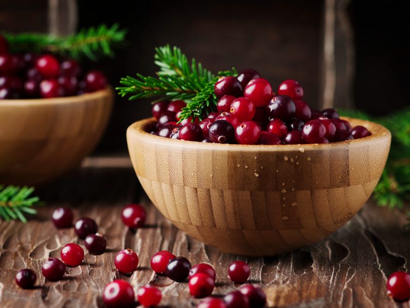 fresh-red-cranberry-vintage-table