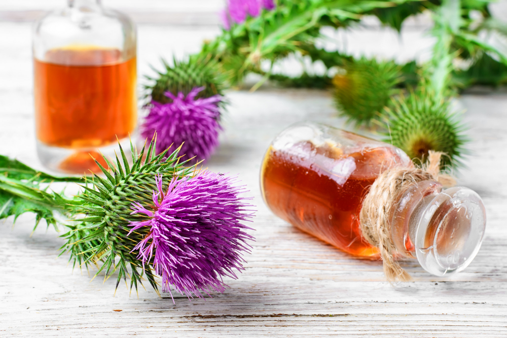 Medicinal Extract Milk Thistle