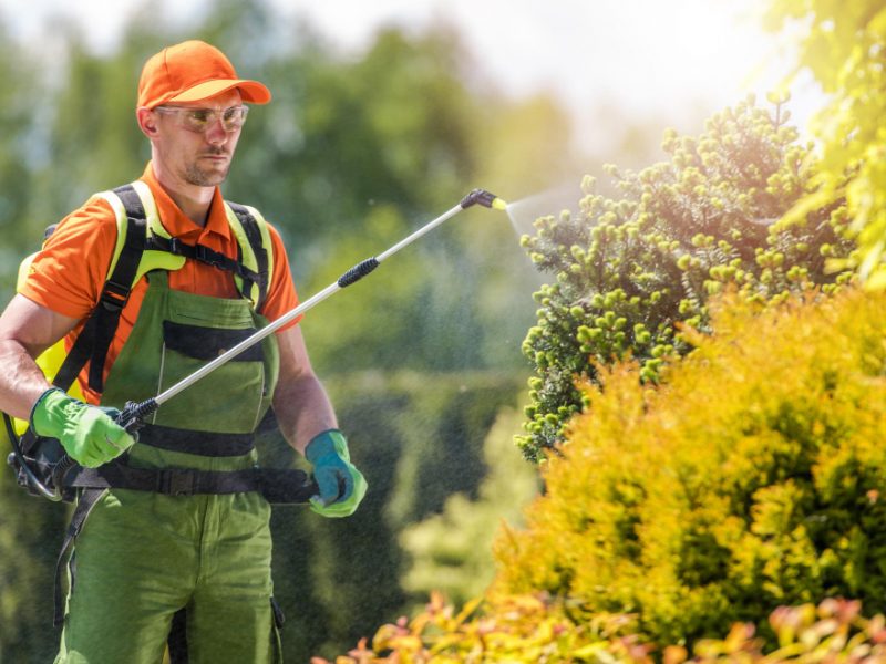 Garden Plants Insecticide