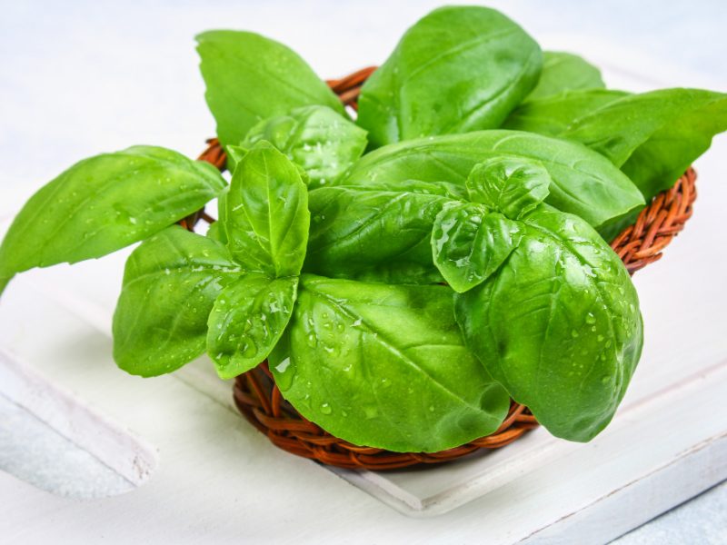green-home-basil-spicy-herb-basket