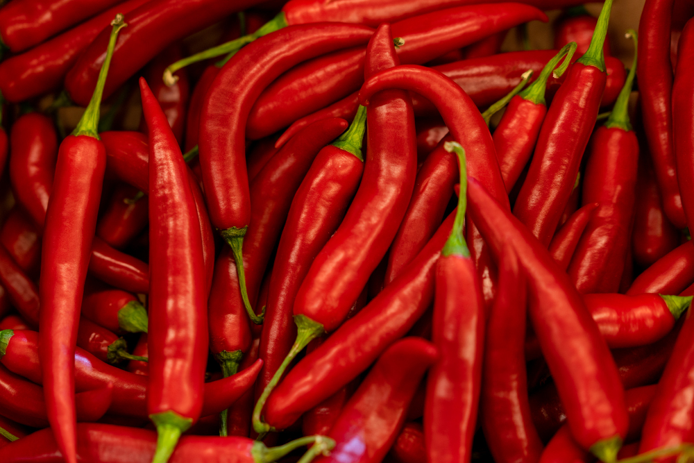 Close Up Hot Red Chilean Pepper