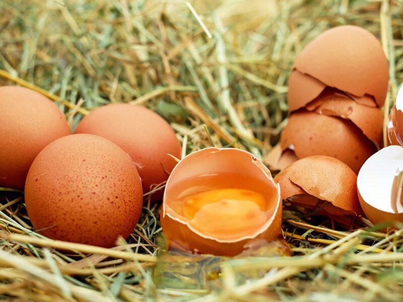 eggs-1510449_1280
