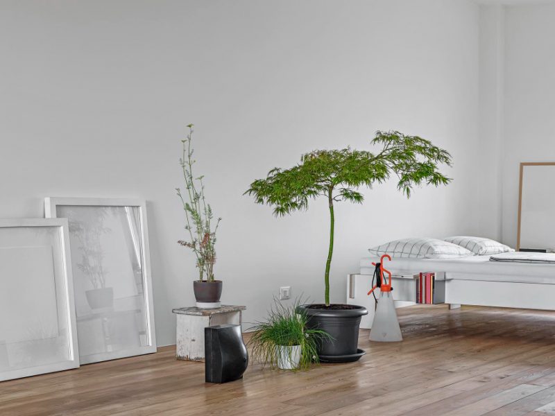 Interior Shots Bedroom With Wooden Floor Foreground Plants