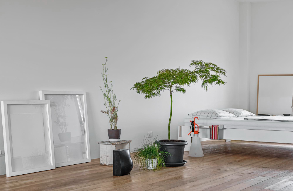 interior-shots-bedroom-with-wooden-floor-foreground-plants