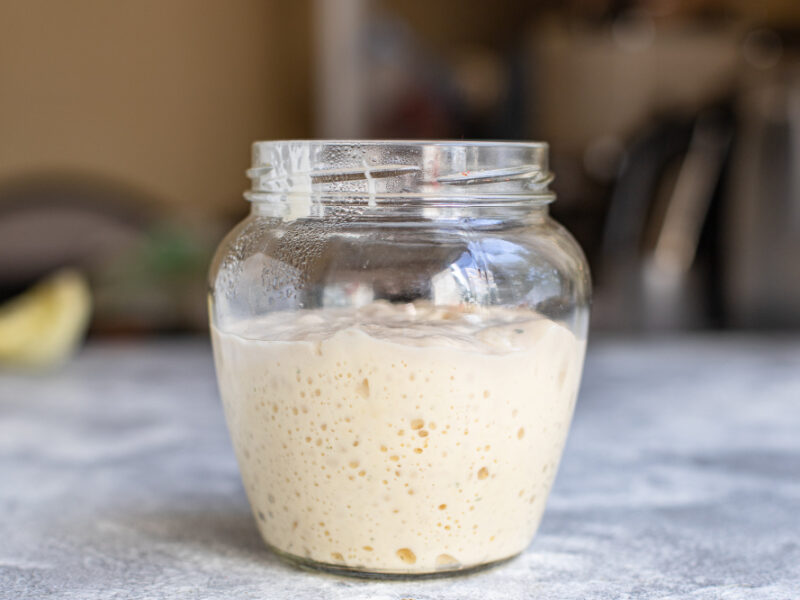 Dough Starter Yeast Raw Baking Natural Product Ingredient