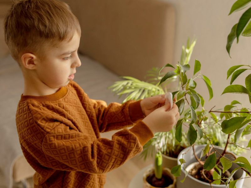 Adorable Cute Boy Caring Indoor Plants Home Little Helper Household Leisure Activity Child Wipes Dust From Leaves Home Gardening Concept Cozy Room Earth Colors Casual Clothing