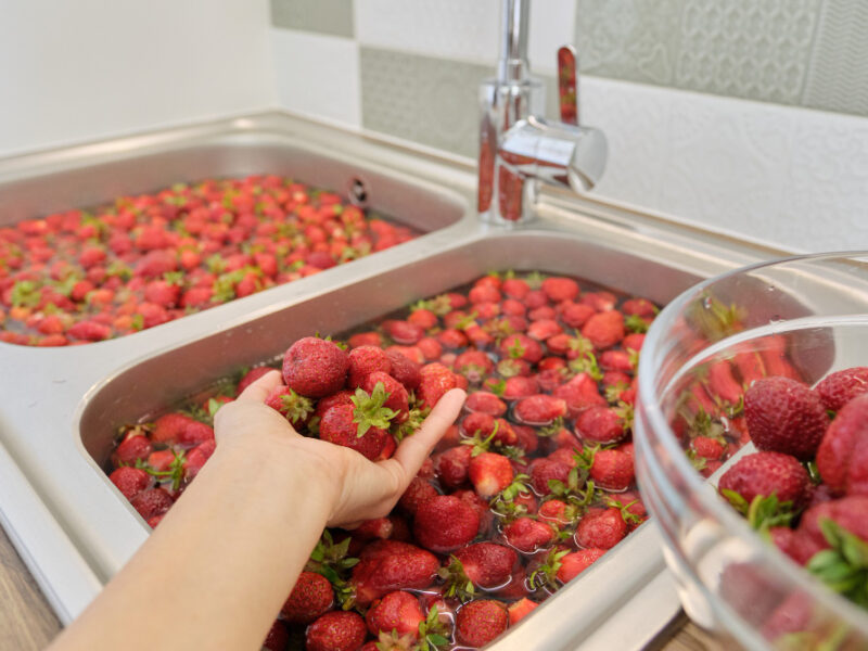 strawberry-season-washing-berries-water-wash-basin-home-kitchen-lot-strawberries-preparing-berries-jam-freezing
