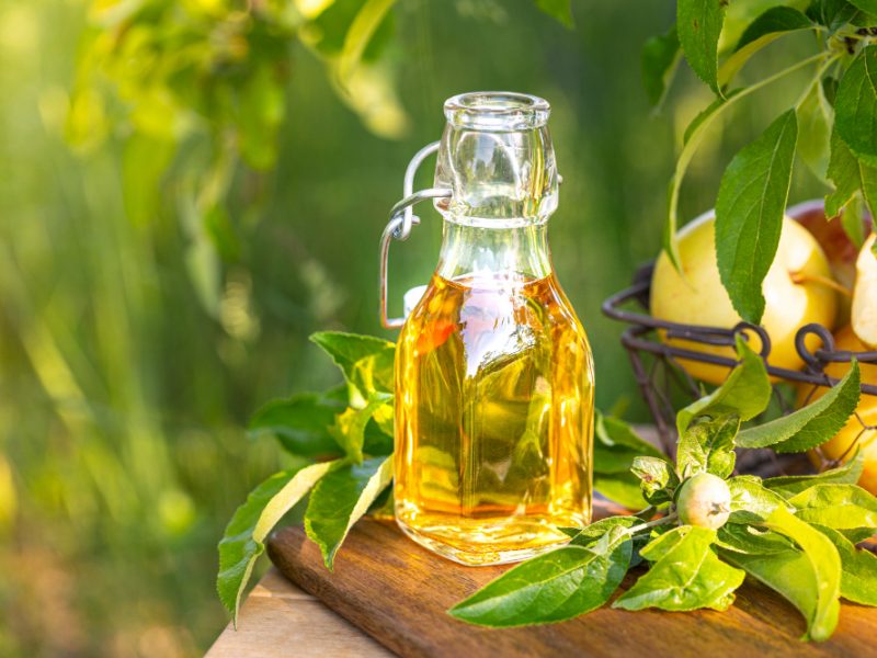 Apple Cider Vinegar Glass Bottle Garden