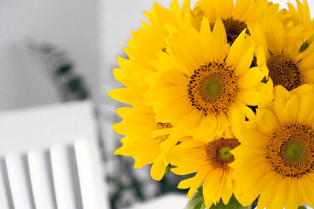 Fresh Bouquet Daisy Sunflowers Glass Vase Home Interior Cozy Atmosphere Summer Mood