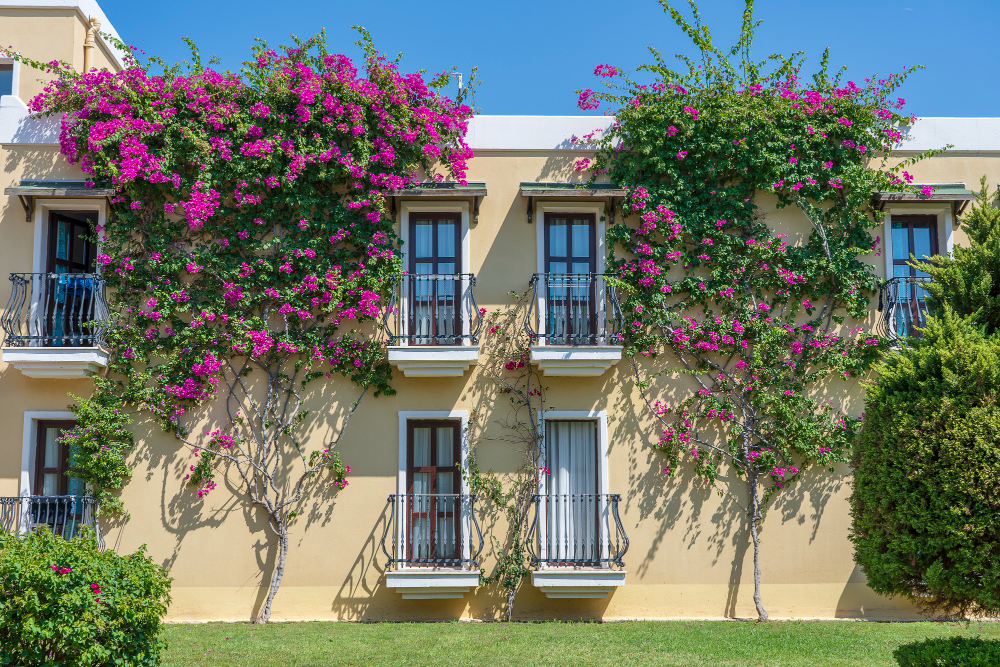 Windows With Balcony Building Facade With Cast Iron Ornaments Flower Tree Wall Bodrum Turkey