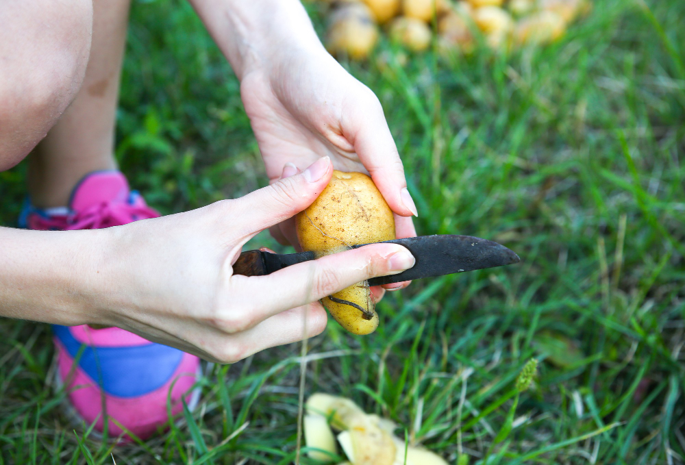 Woman Peels Potatoes Homemade Lunch Outdoors Summer Vibes