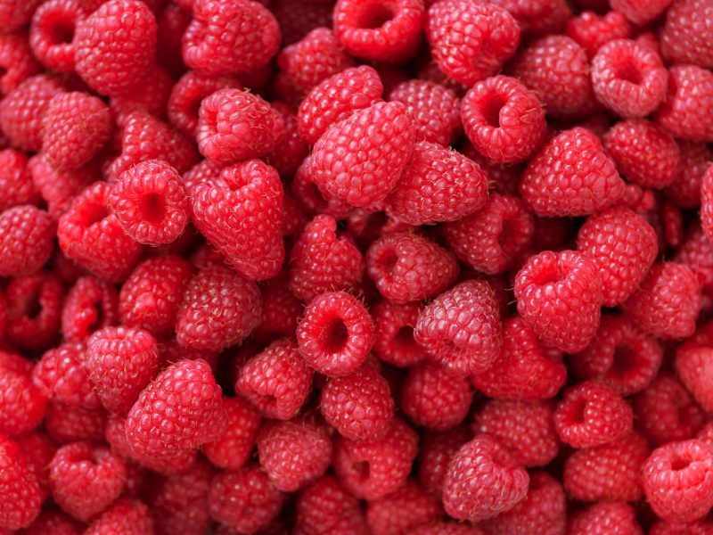 Fresh Organic Raspberries With Mint Leaves Fruit Background With Copy Space Summer Berries Harvest Concept Vegan Vegetarian Raw Food