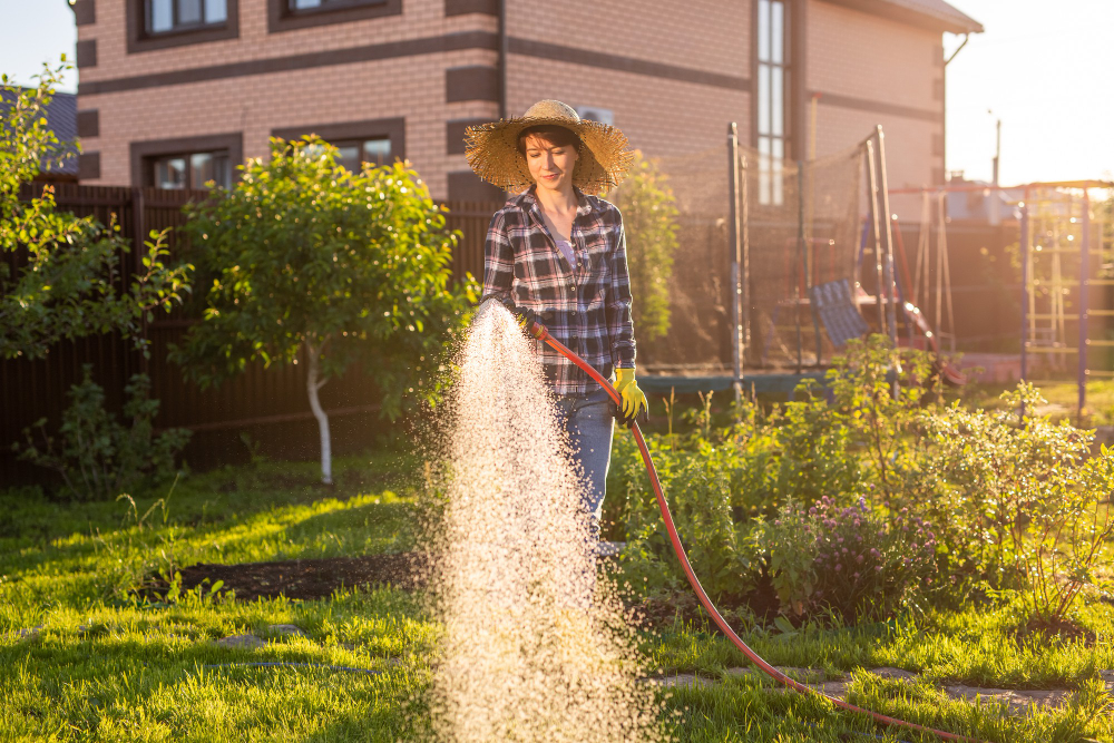 Happy Woman Gardener Work Clothes Watering Beds Her Vegetable Garden Sunny Warm Summer