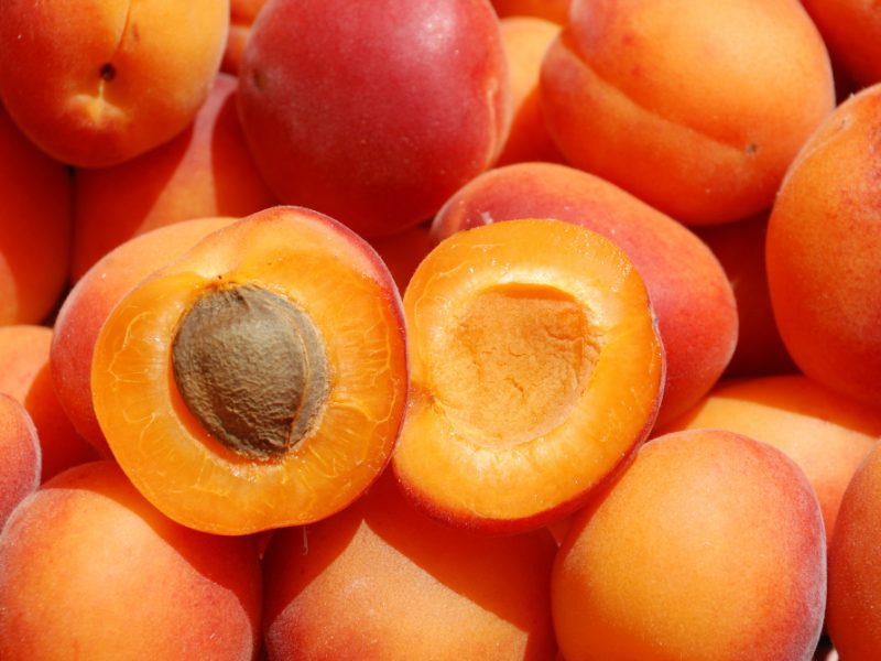 Many Apricot Close Up
