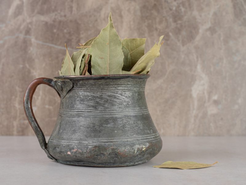 Dried Green Bay Leaves Ethnic Pot