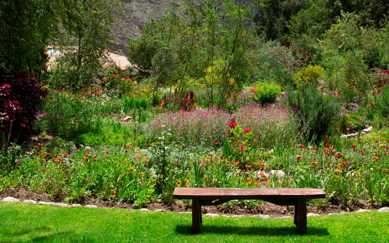 Plants Garden Willka Tika Sacred Valley Cusco Region Peru