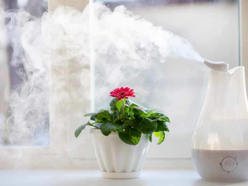 Humidifier Spreading Steam Into Living Room