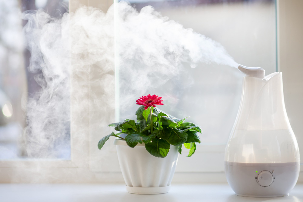 Humidifier Spreading Steam Into Living Room